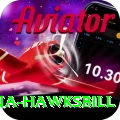 antigua hawksbill Max Pro v3.5.1