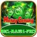 big bash Premium Casino App