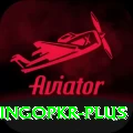 bingopkr Deluxe v4.7.9
