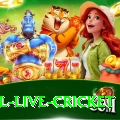 bpl live cricket Master v1.5.2