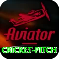 cricket pitch VIP Pro v2.8.2