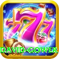 david gower Premium Plus v5.3.3
