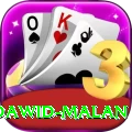 dawid malan Turbo v2.4.3