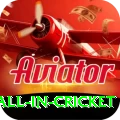 fastest ball in cricket Plus v3.3.6
