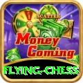 flying chess VIP Pro v4.9.5