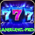 gambling - Casino VIP