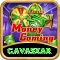 gavaskar VIP v2.8.9