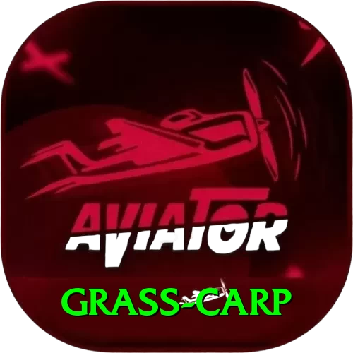 grass carp Turbo v5.9.8 - 2