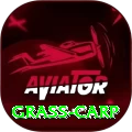 grass carp Turbo v5.9.8