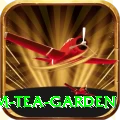 hile ilam tea garden Max Pro v4.5.9