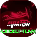 hong kong cricket team Ultimate Pro v1.5.1