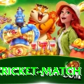 india cricket match Ultimate v1.0.6