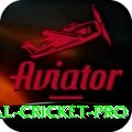 international cricket Earn King v5.7.8