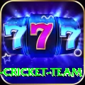 ireland cricket team Plus Pro v1.6.6