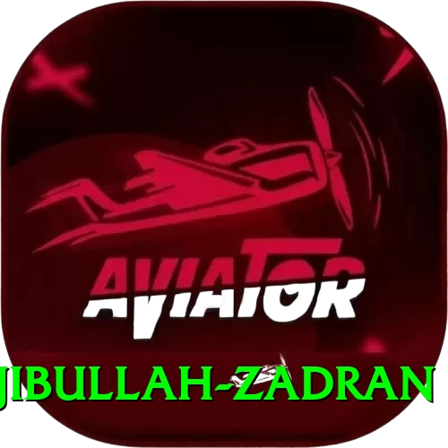 najibullah zadran Deluxe Edition v4.2.5 - 2