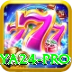 Naya24 Pro1 v2.4.4