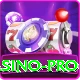pakvip Live Casino Pro