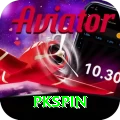 pkspin Master vv1.0.0