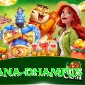 pothana dhampus Premium Plus v5.5.6