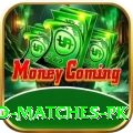 rain affected matches pk Pro v1.3.8