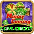 smartcric live cricket Plus v2.8.3