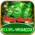 steve waugh Ultimate Pro v2.8.5