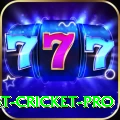test cricket Game King v1.8.5