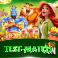 test match Apps (Tools & Injectors) Gold v1.2.8