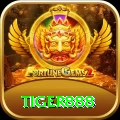 tiger888 Premium Edition v4.6.3