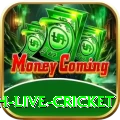 watch live cricket Games (Casino & Earning) Premium v4.5.3