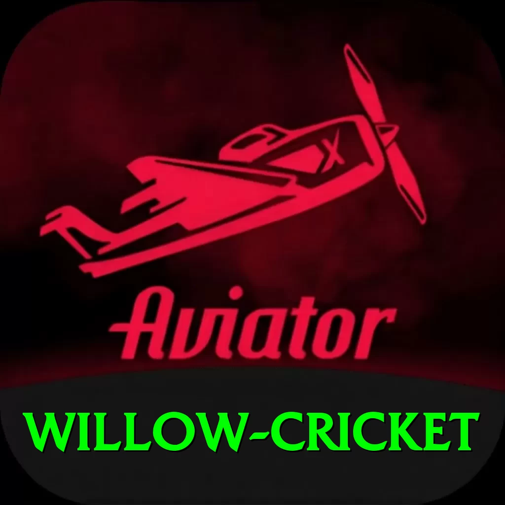 willow cricket Pro Edition v1.4.0 - 2