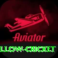 willow cricket Pro Edition v1.4.0